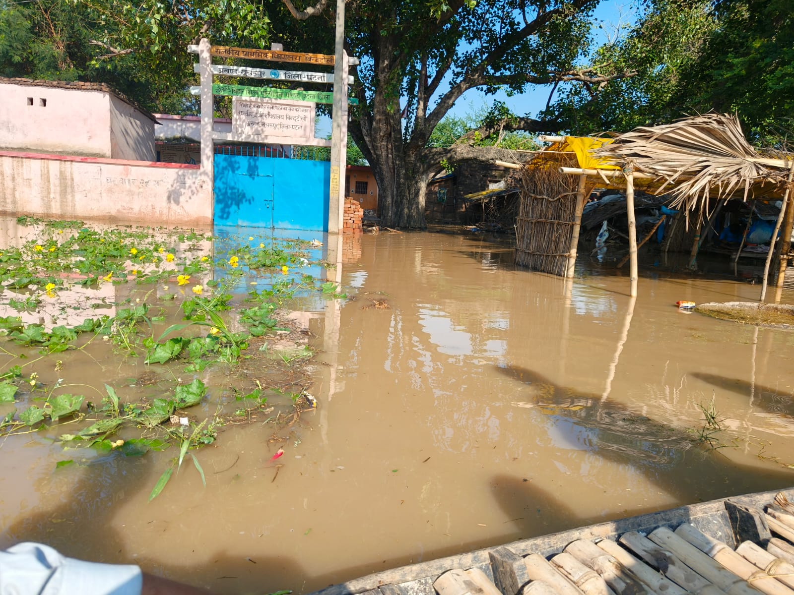 गंगा की जलस्तर में लगातार वृद्धि से सैकड़ों एकड़ खेतों में… स्कूल में घुसा पानी,विद्यालय हुई बंद।