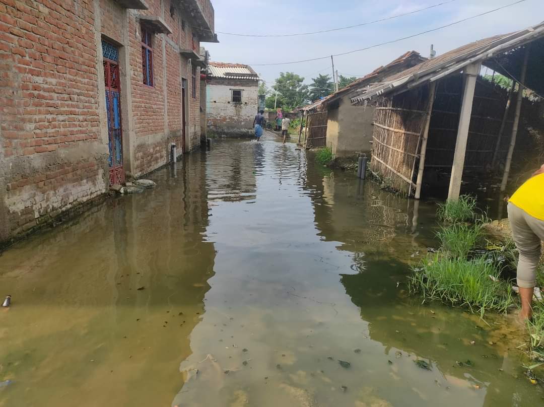 जल निकासी नहीं होने से सड़क पर जलजमाव, ग्रामीणों की बढ़ी परेशानी।