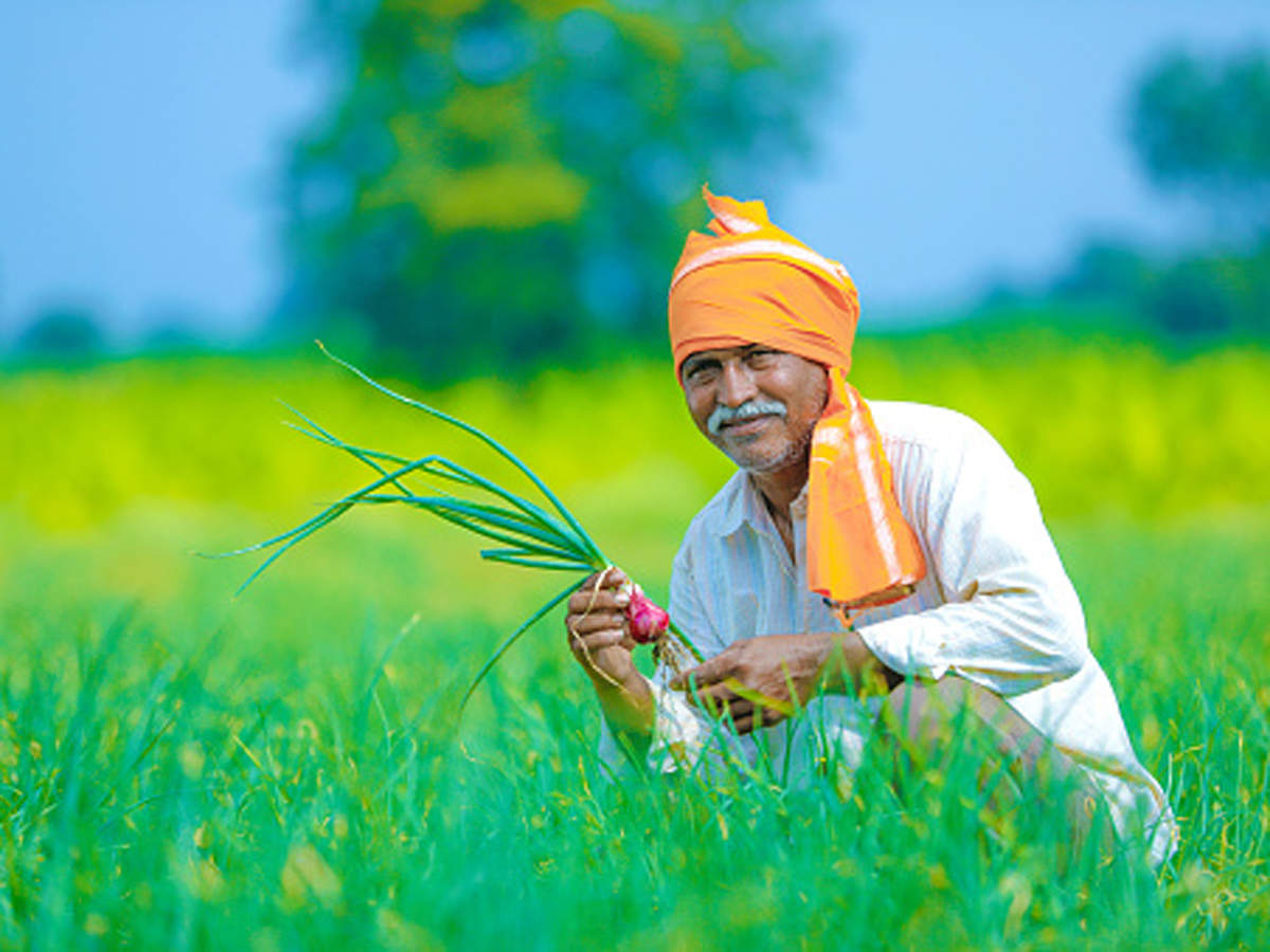 बारिश से किसानों के चेहरे पर आई खुशी।